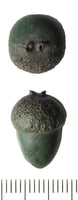 Acorn Brass Button