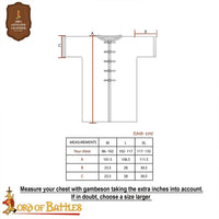 Flat Ring Chainmail Byrnie with Leather trim and Riveted Rings