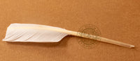Quill pen
