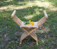 Renaissance or Late Medieval Folding Chair