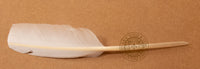 Quill pen