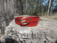 Leather Belt with Brass D-Buckle - Blue or Red