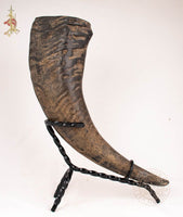 Buffalo drinking horn