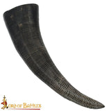 Buffalo drinking horn with carving
