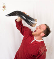 Extra Extra large drinking horn