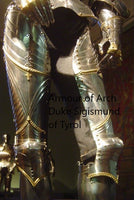 Avant 15th Century Milanese Cuisse Leg Armour - 16 Gauge