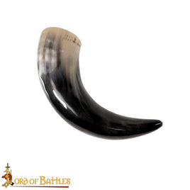 Medium size drinking horn