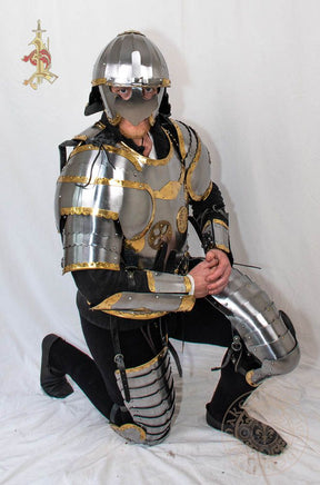 Polish Hussars re-enactment plate armour