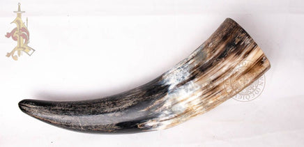 Rustic Viking drinking horn made from cow horn