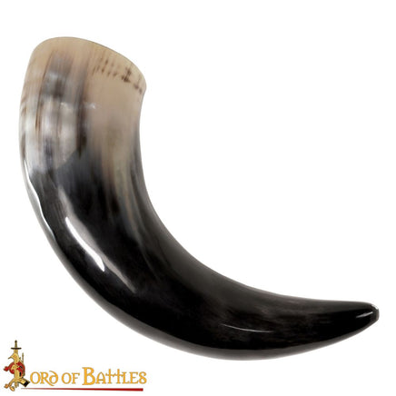 Super Large Viking Drinking Horn 20 inches to 23 inches