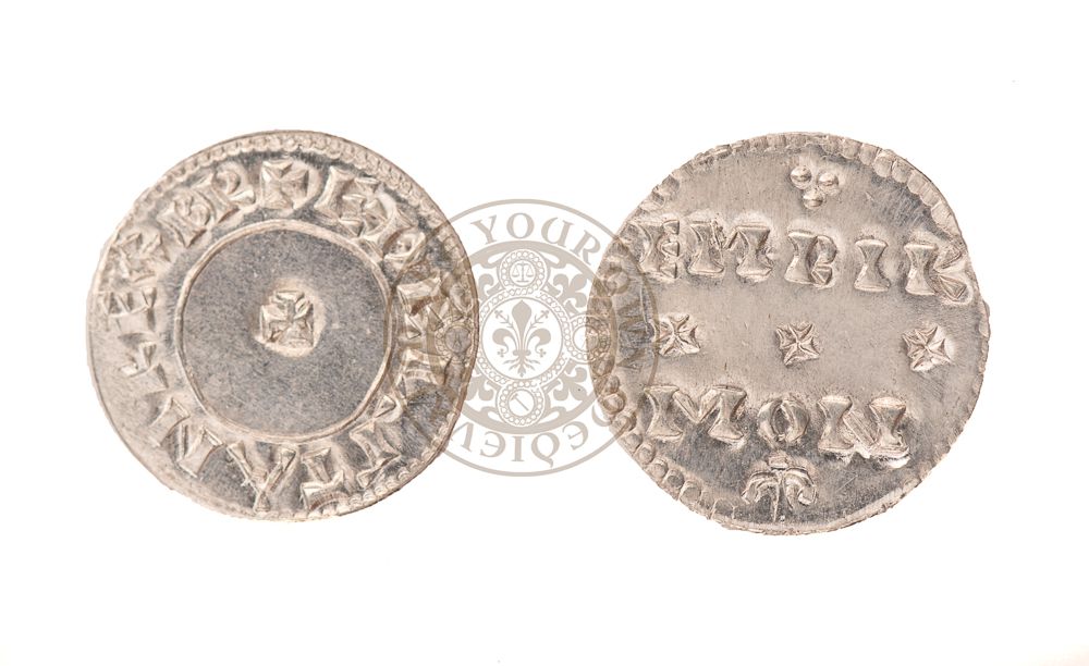 Vale of York Viking Hoard Coin (927-954)