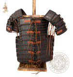 Viking armour for combat reenactment Lamellar Scale 10th century