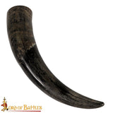 natural drinking horn made from real cow horn