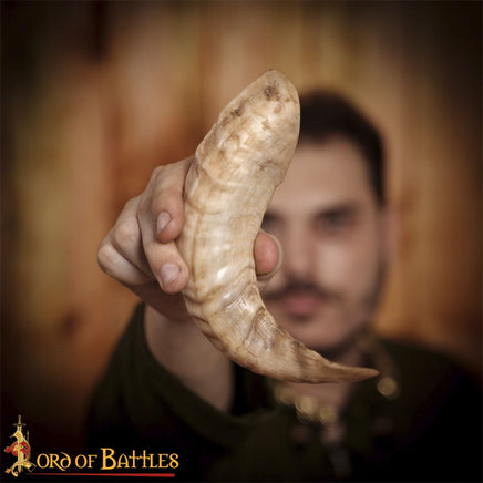 sheeps ram horn for historical crafting